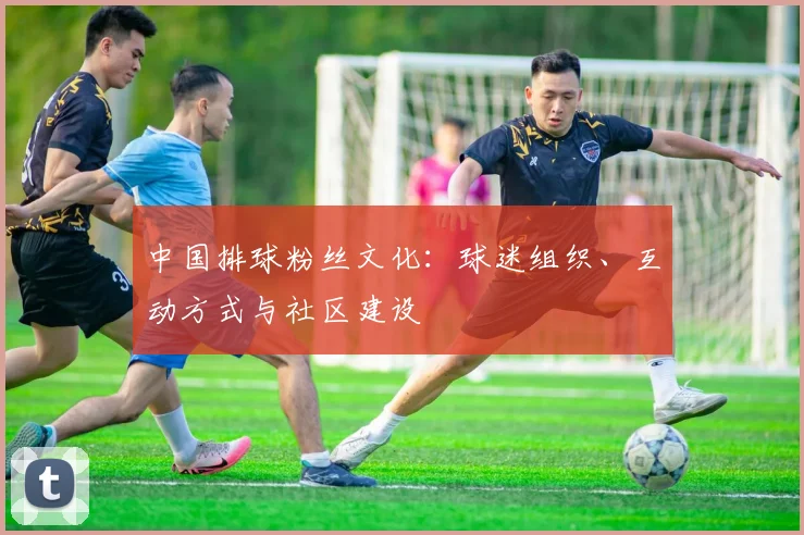 中国排球粉丝文化：球迷组织、互动方式与社区建设