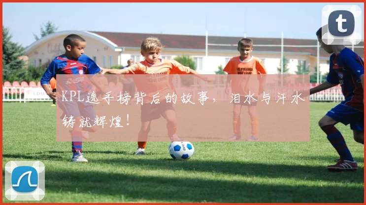 KPL选手榜背后的故事，泪水与汗水铸就辉煌！
