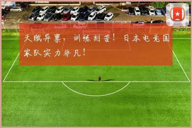 天赋异禀,训练刻苦!日本电竞国家队实力非凡!